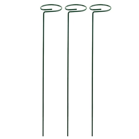 Plant Support Stakes Garden Single Flower Stem Amarylliss Plant CageOrchid Lily Peony Rose Dark Green