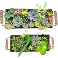 thumbnail image 5 of Galvanized Metal Trough Succulent Planter Farmhouse Metal Tray Rustic Tabletop Centerpiece Décor Set of 2, 5 of 7