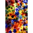thumbnail image 1 of BSDHOME Polyester 7x5ft Colorful Jellyfish Background Graffiti Backdrop for Art Portrait Photography Summer Mermaids Party Photo Props, 1 of 2