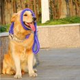 thumbnail image 5 of Pet Rope Dog Leash For Unbeatable Strength, Heavy-Duty Material With Snap Swivel Hook, Training Leash Ensures Safe, Tangle-Free Walking, 5 of 5