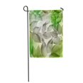 thumbnail image 1 of JSDART Colorful Abstract Leaf Pattern Ilustration Green Botanical Botany Bright Garden Flag Decorative Flag House Banner 28x40 inch, 1 of 1