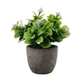 thumbnail image 2 of Bearachild Decoración artificial elegante plástica de la planta en conserva fácil limpiar aspecto realista respetuoso del medio ambiente Decoración nuevocafébebesaliento, 2 of 6