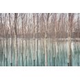 thumbnail image 2 of Ricordi, Andrea G.  18x13 White Modern Wood Framed Museum Art Print Titled - White Birches in the River, 2 of 4
