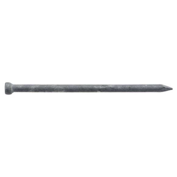 461308 3.5 in. x 16D Galvanized Finish Nails