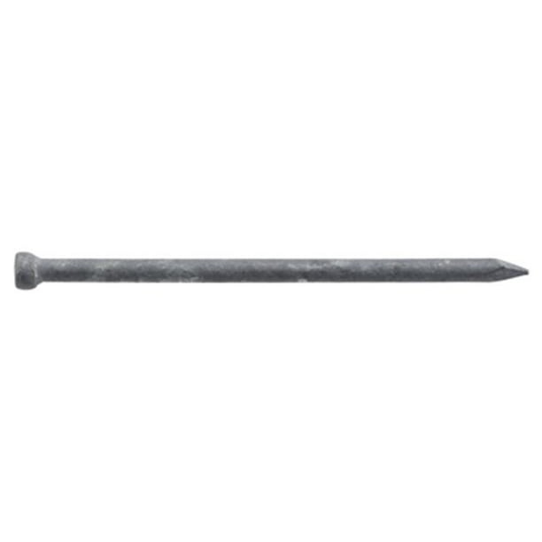 461308 3.5 in. x 16D Galvanized Finish Nails