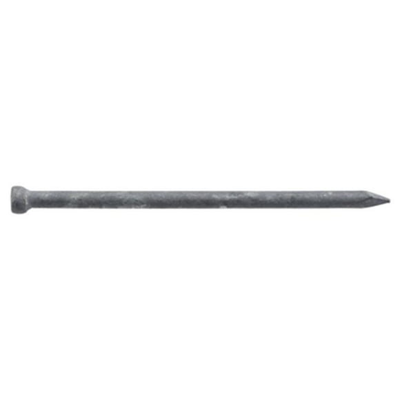 461308 3.5 in. x 16D Galvanized Finish Nails