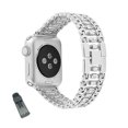 thumbnail image 1 of Bracelet de Montre en Acier Inoxydable TGD, Bracelets Réglables pour Apple IWatch Series SE/1/2/3/4/5/6 pour Femmes - Argent, 1 of 4