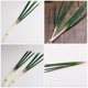 thumbnail image 5 of FELTECHELECTR 3 cebolletas artificiales realistas para decoración de supermercado., 5 of 7