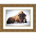 thumbnail image 1 of Hunt, Debbie 18x13 Gold Ornate Wood Framed with Double Matting Museum Art Print Titled - The King, 1 of 4