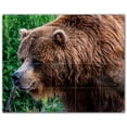 thumbnail image 1 of Picture-Tiles.com: Bear Ceramic Tile Wall Mural WAL500120-54M. 30"W x 24"H using (20) 6" x 6" Ceramic Tiles-Satin Finish, 1 of 3