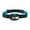 Teal, variant on Nite Ize Radiant 250 Headlamp, 250 Lumen Headlight With Red + White LED's, Water Resistant, Four Modes and Lockout, Teal
