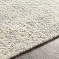 thumbnail image 3 of Surya Tunus TUN-2306 24x36" Rectangle Global Wool Area Rug in Medium Gray/Beige, 3 of 8