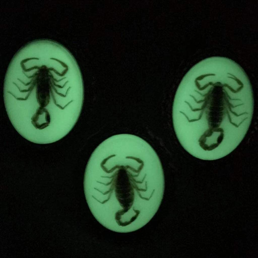 Night Light Up Scorpion Western Bolo 