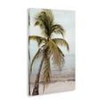thumbnail image 4 of Stupell Industries California Summer Palm Nautical & Beach Photography Wrapped Canvas Art Print Wall Art, 16 x 24, 4 of 8