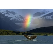 Composite - Bright Rainbow Appears Over Eagle Beach After A Rain Shower with A Fluking Humpback Whale in The Foreground Inside Passage Southeast Alaska Summer Poster Print, 36 x 24 - Large