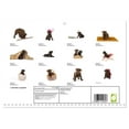 thumbnail image 2 of Labrador puppies (Monthly Wall Calendar 2026 16.5 x 23.4 (open)), CALVENDO 14 Month Calendar, 2 of 9
