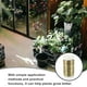 thumbnail image 4 of 1 rollo de lazo para plantas de jardín, lazo de fijación Flexible para plantas y flores, accesorio de fijación para plantas, 4 of 7