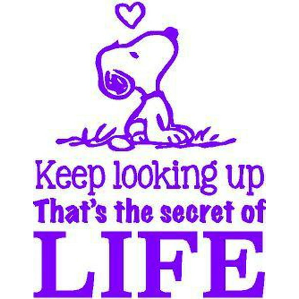 Snoopy Quote Vinyl Wall Decal Never Stop Smiling Charlie Brown