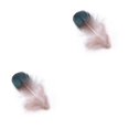 thumbnail image 1 of Bewildely 50X Feather Head Ornament Wedding Decor Decal Home Festival Multipurpose Decoration Party Long-lasting Decorative Como se muestra 2piezas, 1 of 1