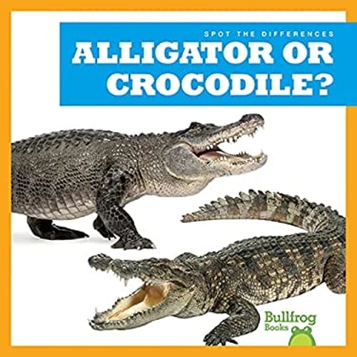 Pre-Owned Alligator or Crocodile? (Library Binding) 1636903347 9781636903347