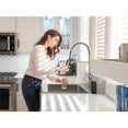thumbnail image 3 of NewAge Products Coiled Pull-Down Faucet, 3 of 9