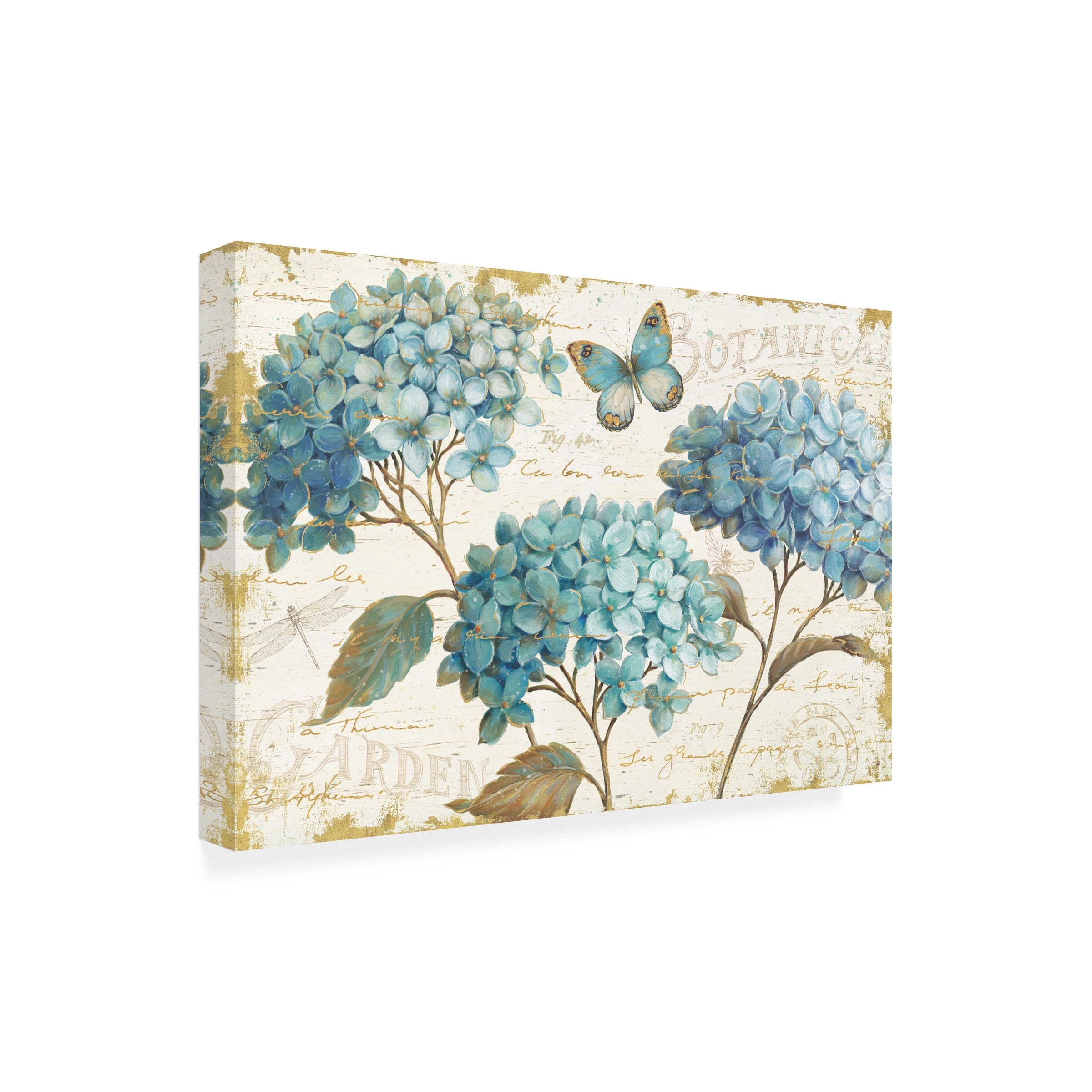 Debra Van Swearingen 'Floating Butterfly II' Canvas Art