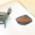 thumbnail image 4 of HEANUJJ 1Ud Plato Para Reptiles Con Material Resina Y Fácil De Limpiar, 4 of 6