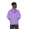 thumbnail image 3 of Reebok Kid's Unisex Game Day Fleece Hoodie, Sizes 4-18, 3 of 8