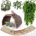 thumbnail image 1 of Accesorios para terrario HERCOCCI para Dragón Barbudo con hamaca y puente, 1 of 7