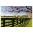 thumbnail image 1 of Great BIG Canvas | "Redbud trees in full bloom, Lexington, Kentucky" Art Print - 30x20, 1 of 4