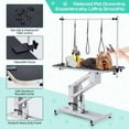 thumbnail image 2 of 43.3" Hydraulic Dog Grooming Table, 350Lbs Heavy-Duty Pet Grooming Table, Adjustable Overhead Arm & Noose 22"-39", White, 2 of 7
