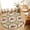 Off-White, variant on Entryway Rug 2'x3', Brown Desert Camels Kitchen Runner Rugs Non-Slip Carpet Mats, Tropical Date Coconut Trees Cords Leaves Bedside Rugs Runners Washable Floor Carpet for Bathroom Laundry Room