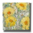 thumbnail image 1 of Epic Graffiti 'Yellow Bunch II' by Tim O'Toole, Canvas Wall Art, 18"x18", 1 of 2