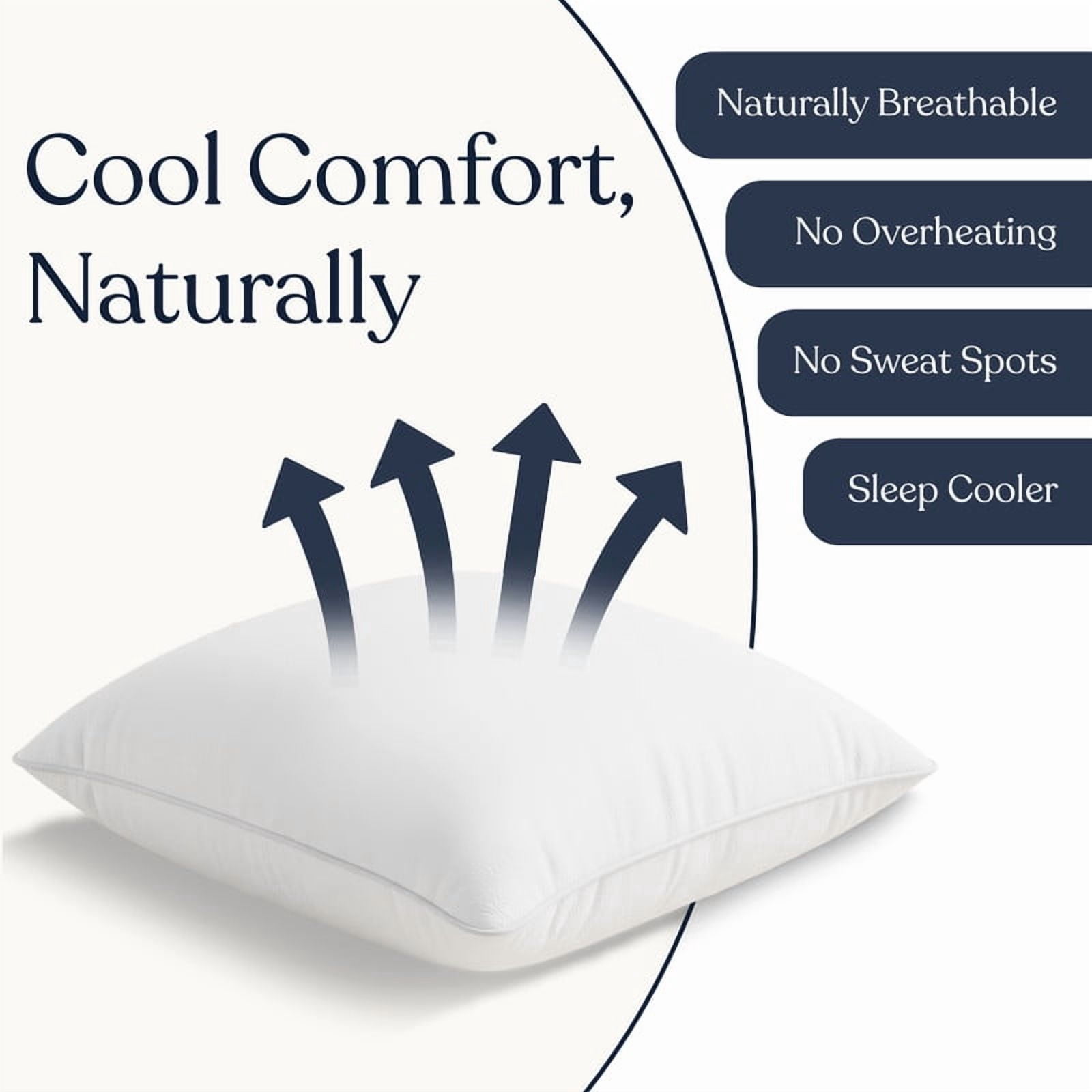 Delara 22x22 Throw Pillow Inserts Set of 2 - Organic Cotton Shell, 7D Recycled Down Fill, 1000 GSM Fluffy & Decorative Lumbar Pillows for Couch & Bed