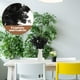thumbnail image 4 of IDEANATEGRATE 6Ud Artificial De Tela Para De Hogar Interiores Y Exteriores, 4 of 7