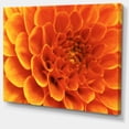 thumbnail image 1 of Designart - Large Orange Flower and Petals - Floral Canvas Art Print, 1 of 2
