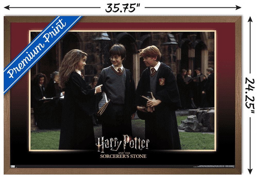 Harry Potter and the Sorcerer's Stone - Friends Wall Poster, 22.375" x 34", Framed