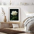 thumbnail image 6 of Diamond Art Kit for Adults, White Rose Bloom Leaf Elegance Diamond Painting for Adults Beginners, 5D DIY Diamond Art Painting Kits, Colorful Diamond Painting Craft for Home Decor 12x16, 6 of 7