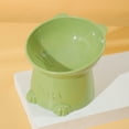 thumbnail image 4 of Tilted Elevated Cats Food Bowl Suitable For Cats And Small Dogs, 4 of 6