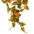 thumbnail image 2 of Penn-Plax Reptology Plastic Hanging Vines for Reptiles – 24” Length – Green & Orange, 2 of 7