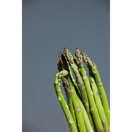 canvas print plant green asparagus green healthy asparagus eat stretched canvas 10 x (Best Way To Eat Asparagus)