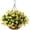 Z Yellow White, variant on Artificial Flowers Hanging Basket for Outdoor Indoor, Fake Orchid Flowers in Coconut Lining Hanging Basket for Home Courtyard Decoration, 5 Branches Flowers in '' Basket(Blue)