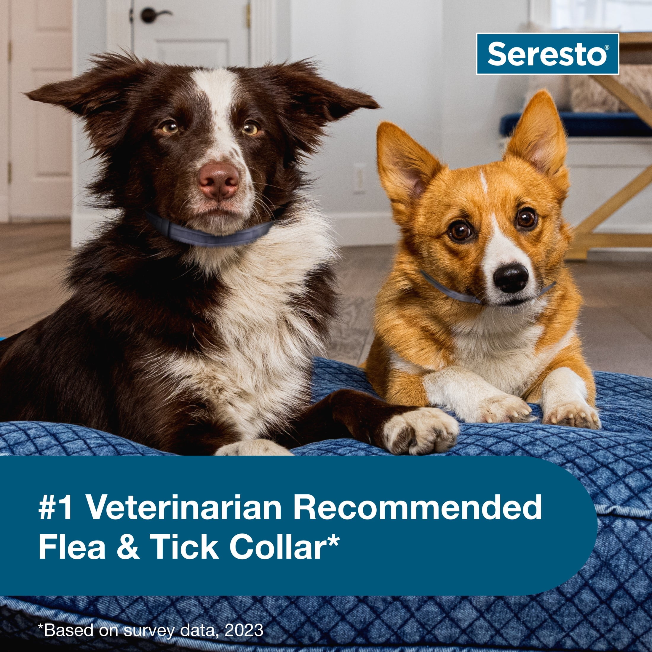 Seresto collar dog walmart sales