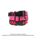 thumbnail image 3 of Collar para Perro Vibrant Life De Nylon Talla Grande Varios Colores 1 Pza, 3 of 4