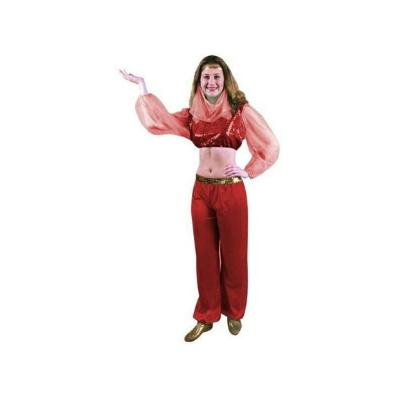 Child's Fashion Harem Dancer Costume