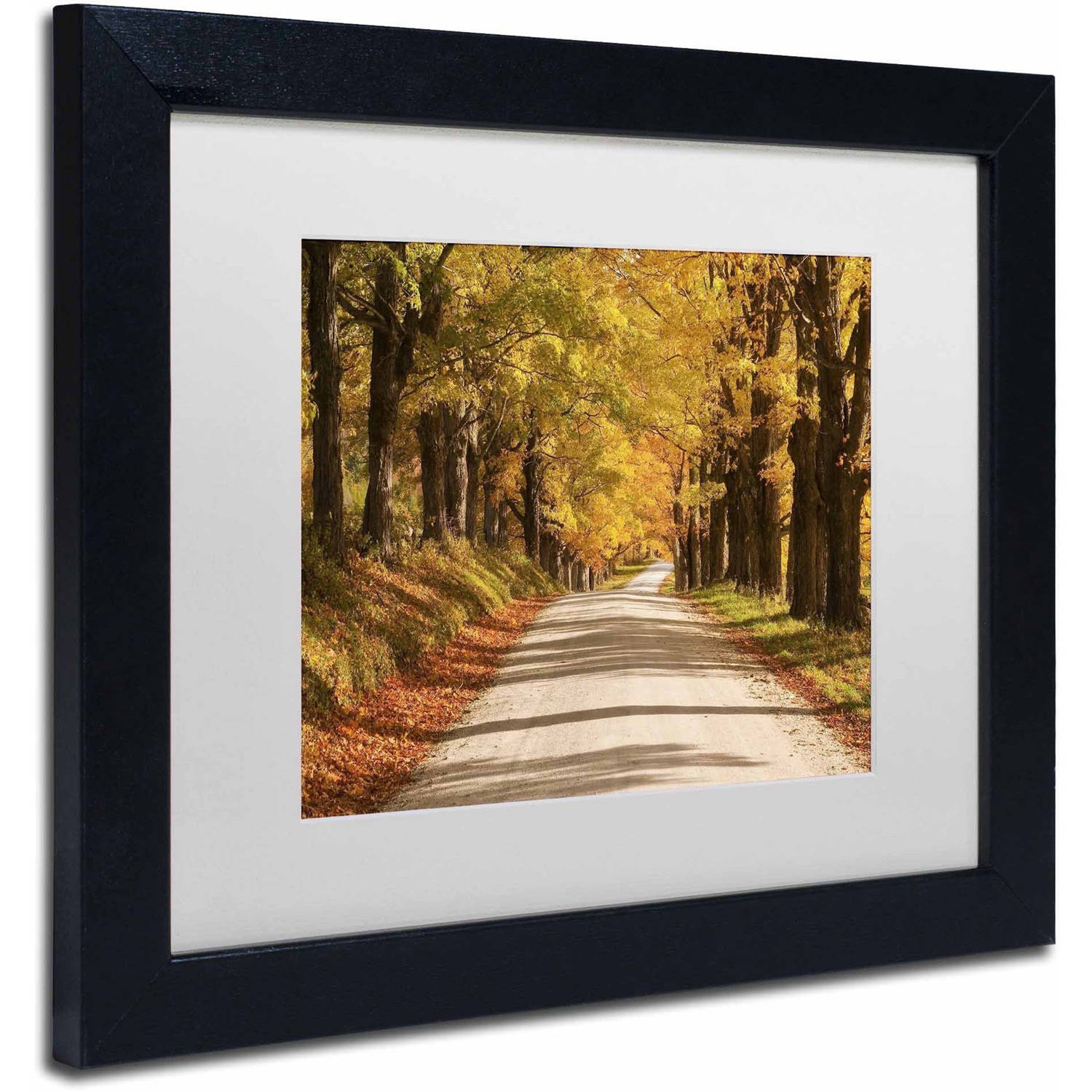 Trademark Fine Art 'Maple Canopy' Canvas Art by Michael Blanchette Photography, White Matte, Black Frame