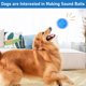 thumbnail image 5 of Paket med hundbollar, hundpipbollar, tuggbollar, hundbollar för små och medelstora hundar att tugga, jaga och leka blå/grön/orange, 5 of 5