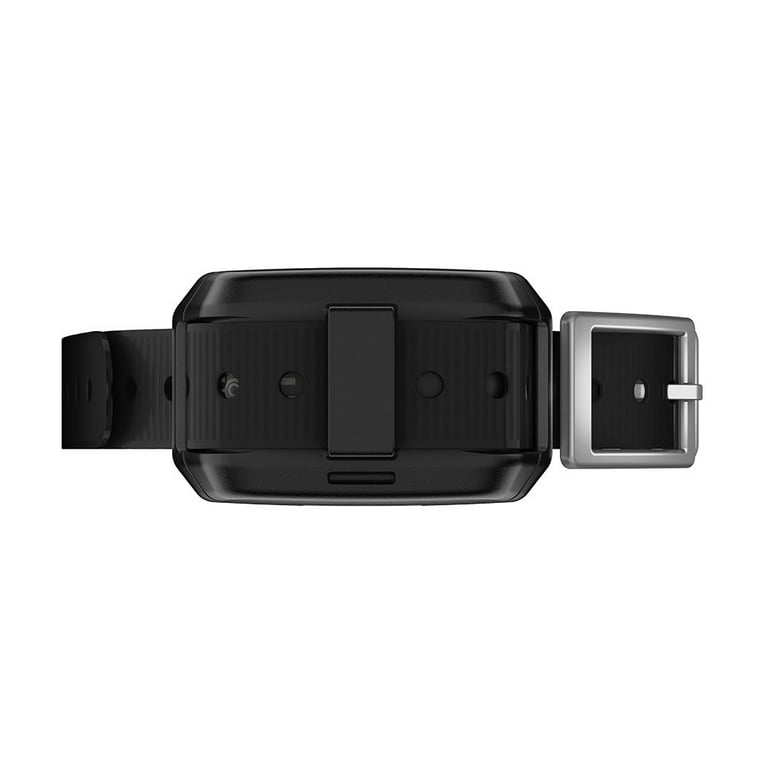 Garmin Delta SE Dog Training System Walmart
