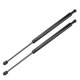 thumbnail image 1 of Ofertas Únicas 2 Pcs Soportes de Elevación Traseros Amortiguadores Resortes de Gas para LANCIA MUSA 07/2008-09/2012, 1 of 7