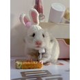thumbnail image 4 of 1pc Cute Rabbit Ear Hat Headwear For Small Pets Such As Hamsters/Parrots, 4 of 5